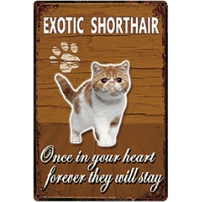 A2752 メタル サイン 金属 製 ブリキ 看板 プレート 店 舗 カフェ 動物 ペット 猫 注意 エキゾチック ショートヘア【4427】拍卖