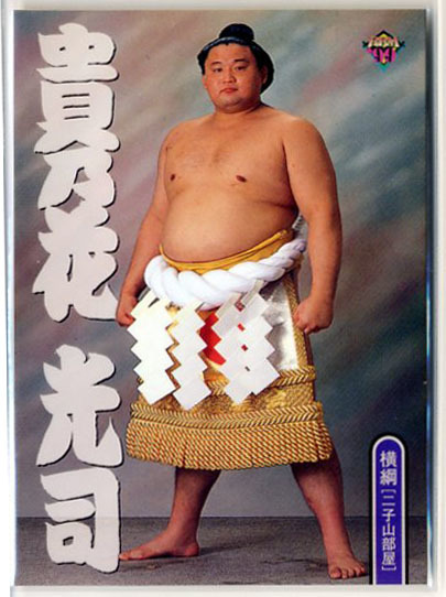 ●貴乃花光司 プロモ サンプルカード 非売品 BBM 99 1999年 横綱 二子山部屋 即決拍卖