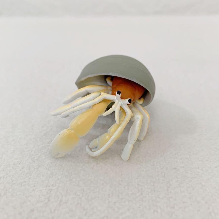 ヤドカリ 「みずべのなかま みんなの大自然」フィギュア★サイズ約5cm〈K5拍卖