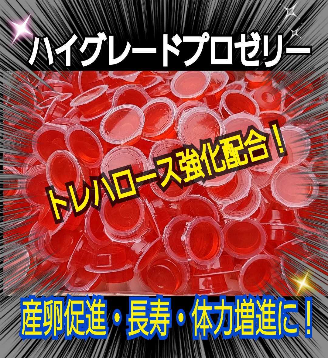 極上!ハイグレードプロゼリー【100個】特殊アミノ酸強化配合!産卵促進効果・長寿効果抜群!クワガタの餌 カブトムシの餌☆昆虫ゼリー 拍卖