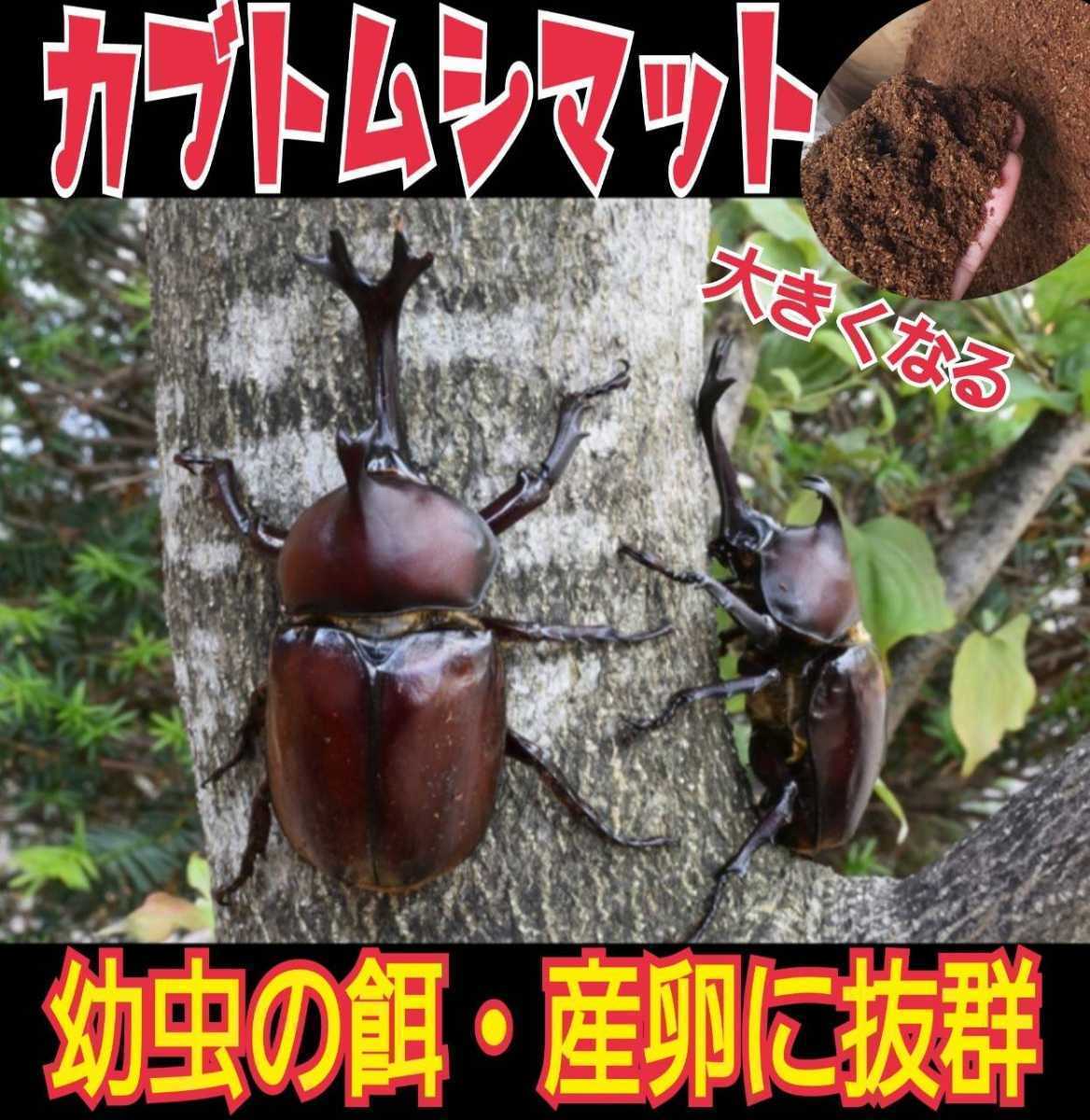 カブトムシ幼虫が大きくなる、【改良版】雑虫、コバエがわかない!ヒマラヤひらたけ発酵マット【80L】抜群の栄養価☆幼虫の餌、産卵に抜群拍卖