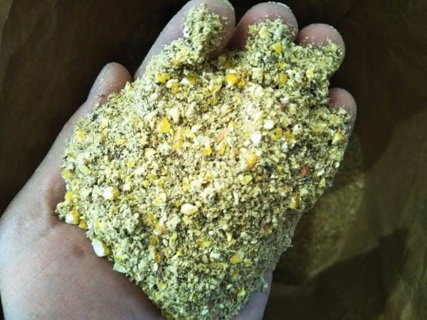 鶏の餌・雛用 後期 2kg 飼料 エサ 拍卖