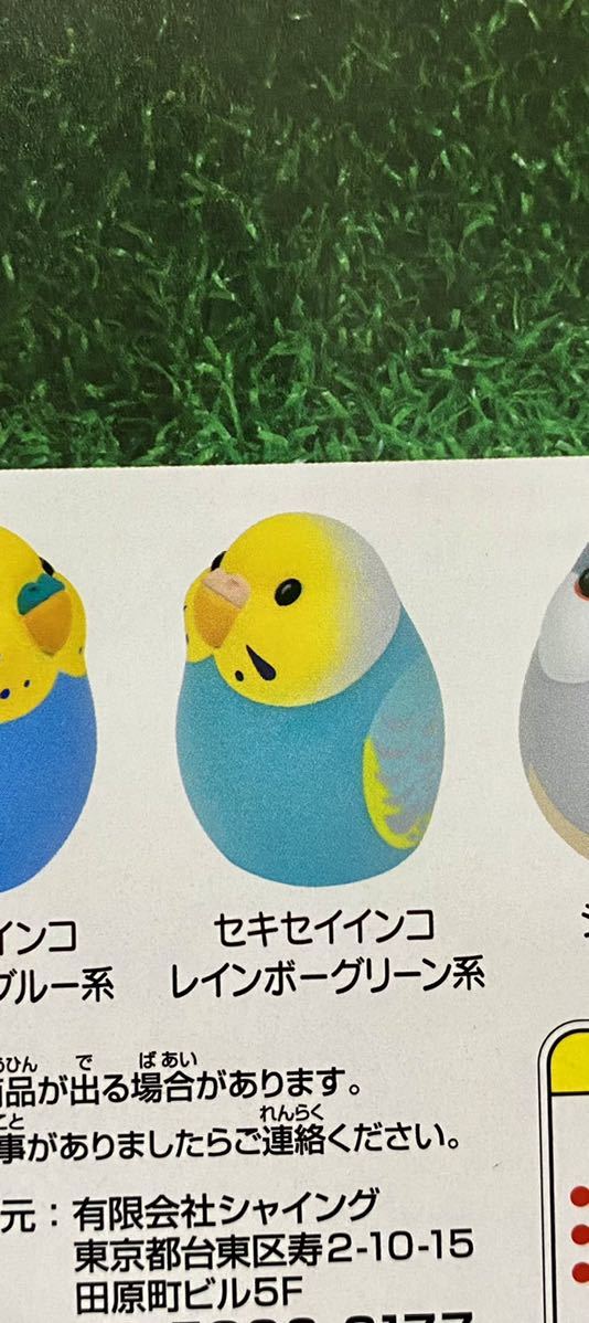 ★フィギュア★ほんのり光るまんまるかわいい小鳥ライト2 ガチャガチャ セキセイインコレインボーグリーン系拍卖