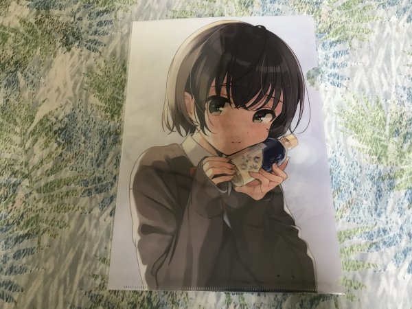 d119クリアファイル しぐれうい) /しぐれどき 初個展 雨天決行6 ホロライブ 大空スバル 絵師 /しぐれうい拍卖