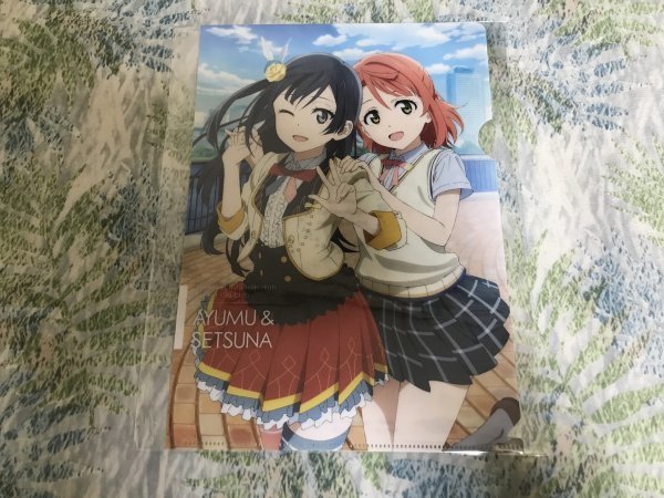 d121クリアファイル ラブライブ!虹ヶ咲学園 電撃G's magazine 特典 上原歩夢 & 優木せつ菜拍卖
