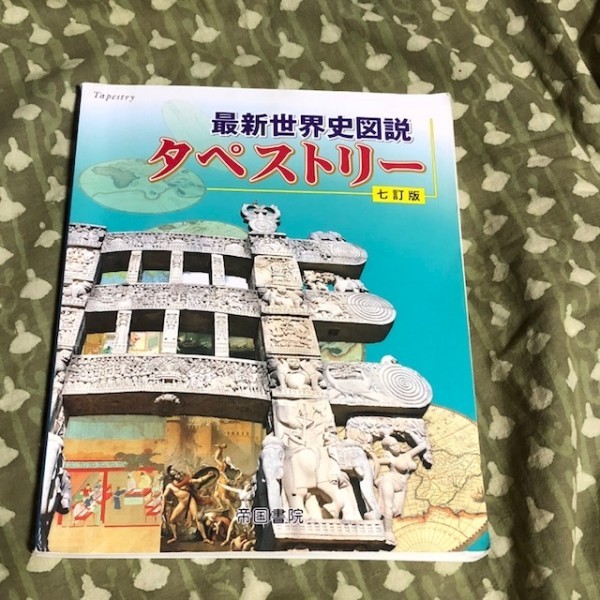 最新世界史図説 タペストリー 帝国書院拍卖
