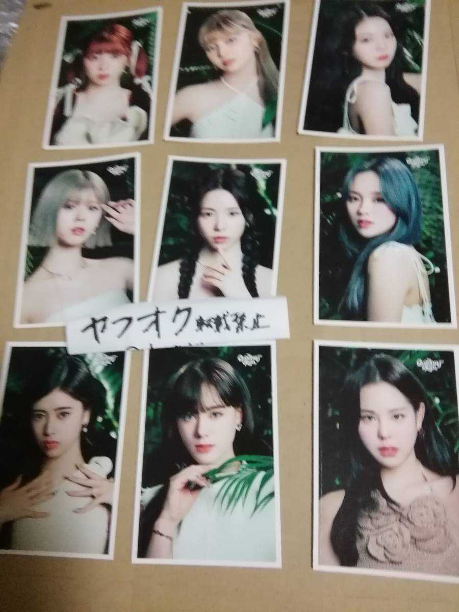 ツタヤ 9種コンプ 店舗購入特典 ICカードステッカーCOCONUT NiziU 2nd アルバム ニジュー Album TSUTAYA拍卖