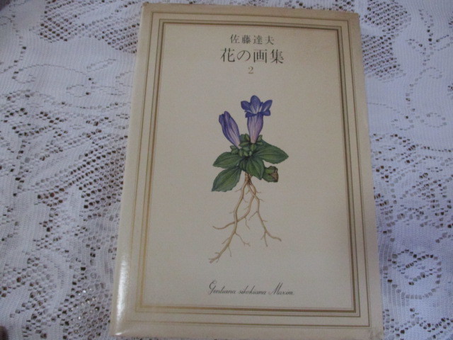 ☆佐藤達夫 花の画集 2 東京新聞刊☆拍卖