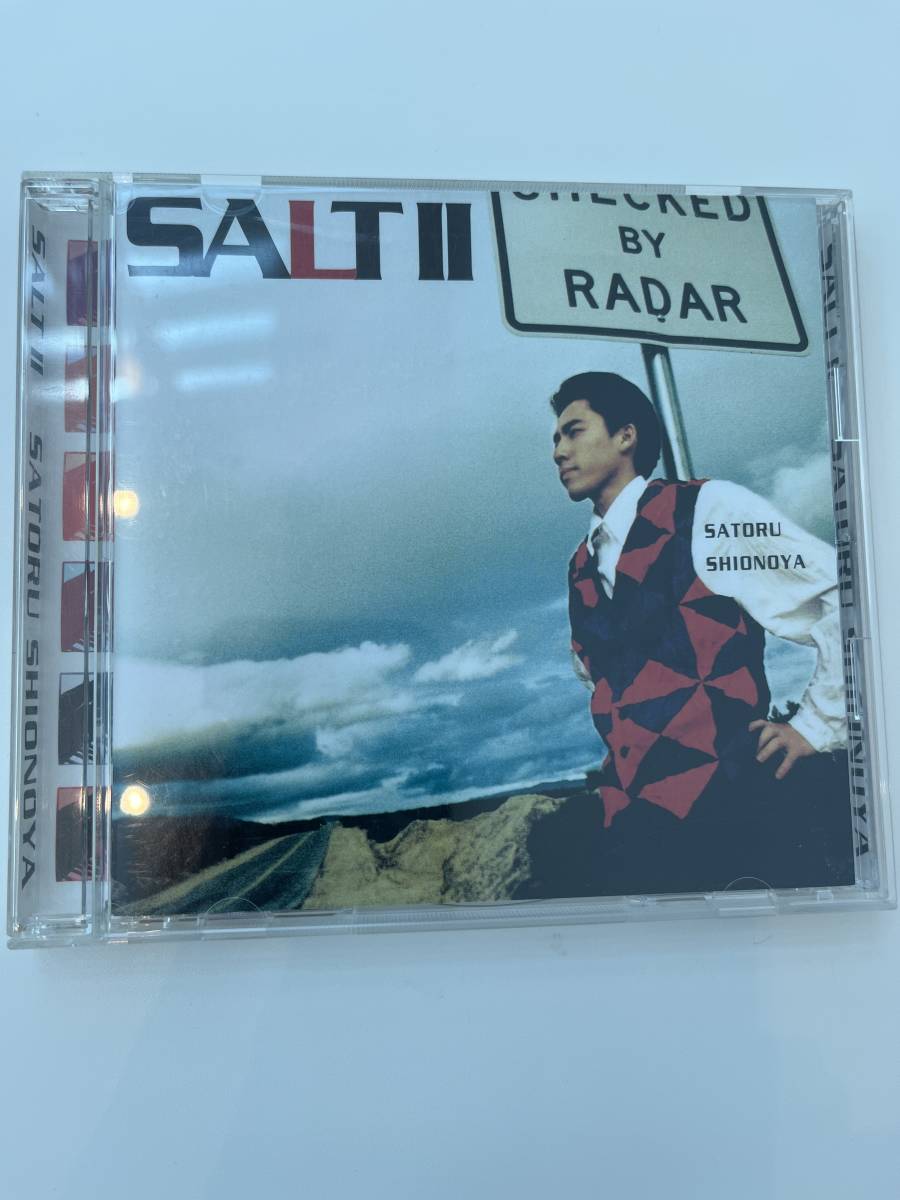 「SALT Ⅱ」塩谷哲 ピアノジャズフュージョン ソルト&シュガー 佐藤竹善他拍卖