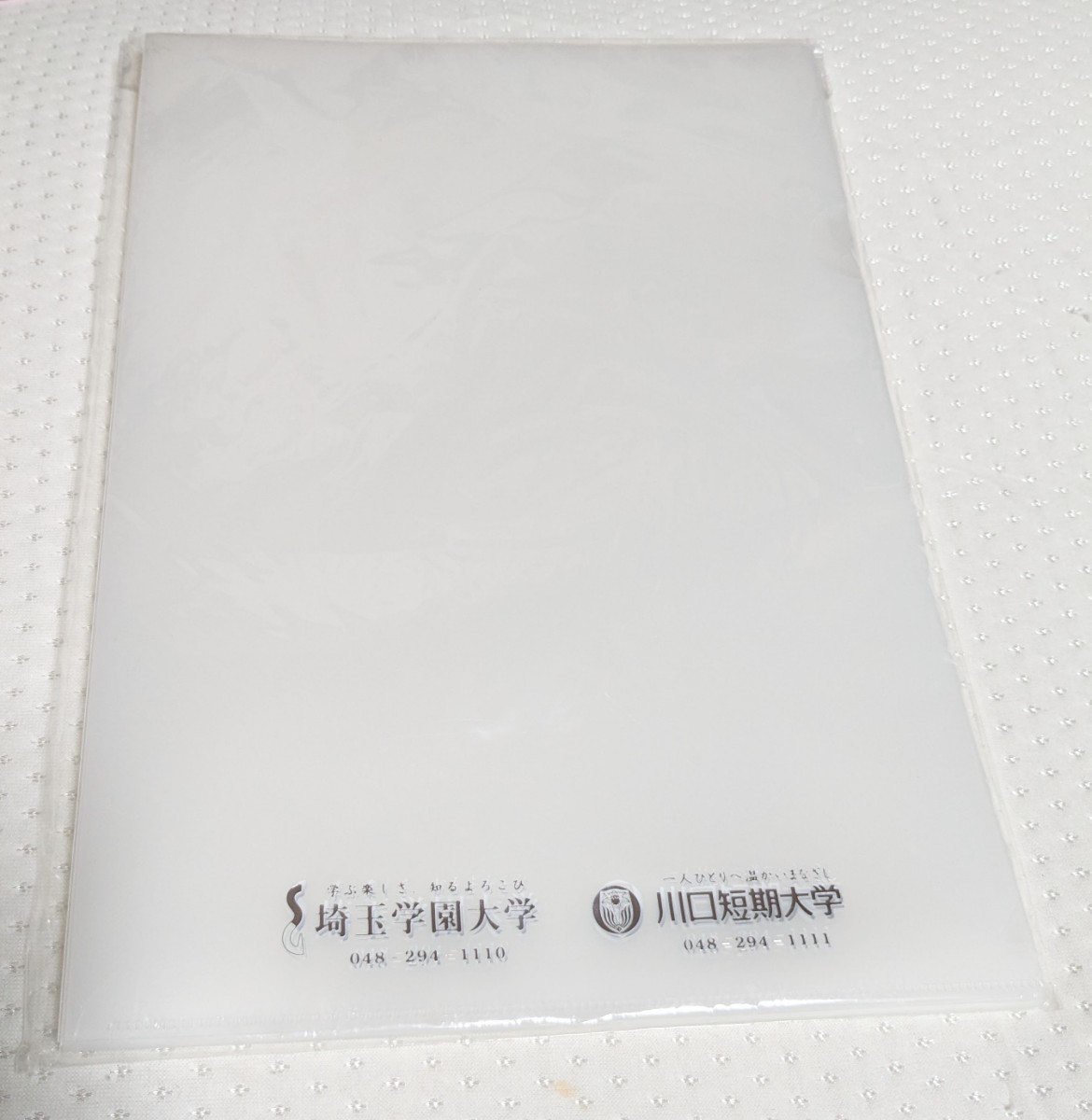【送料込 新品 未開封】埼玉学園大学 川口短期大学 クリアファイル 10枚セット拍卖