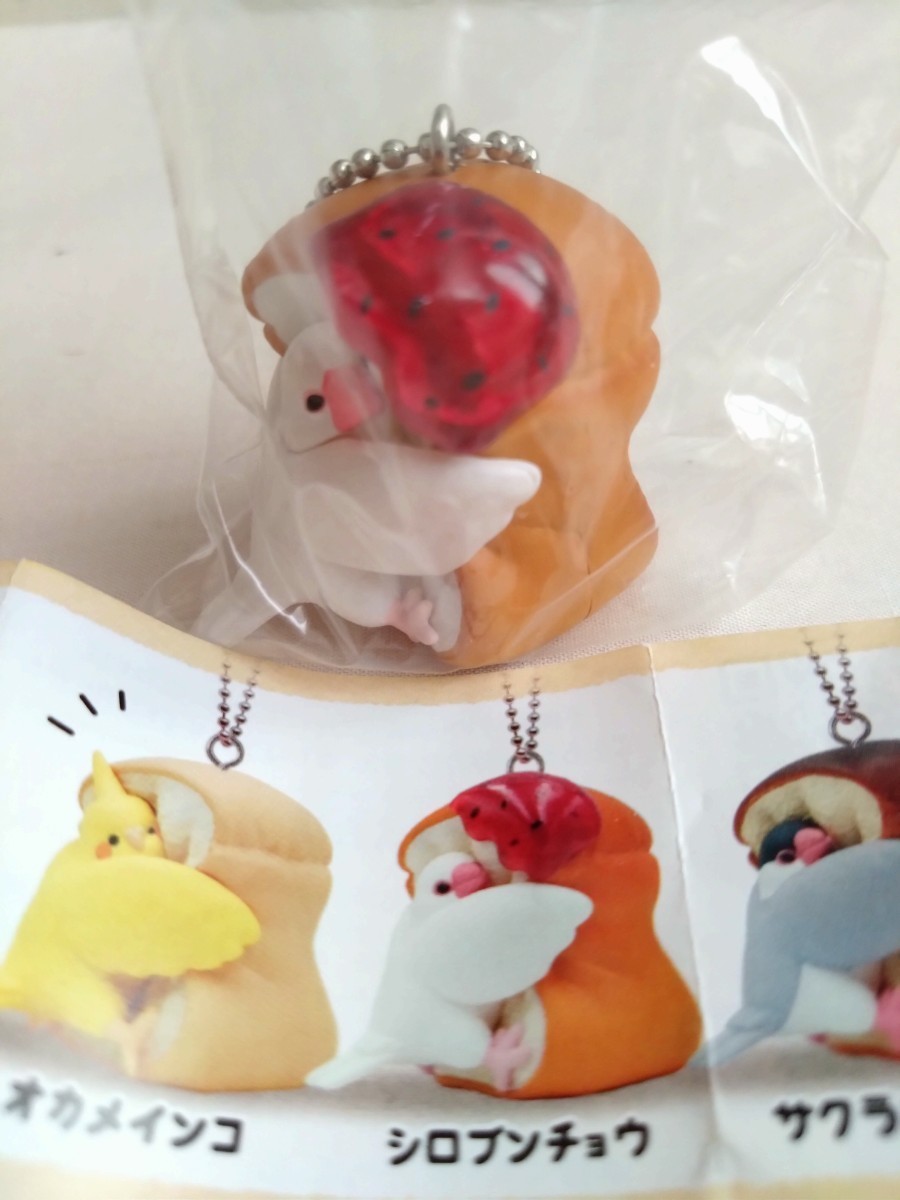 むぎゅっ鳥 シロブンチョウ ガチャガチャ インコ拍卖