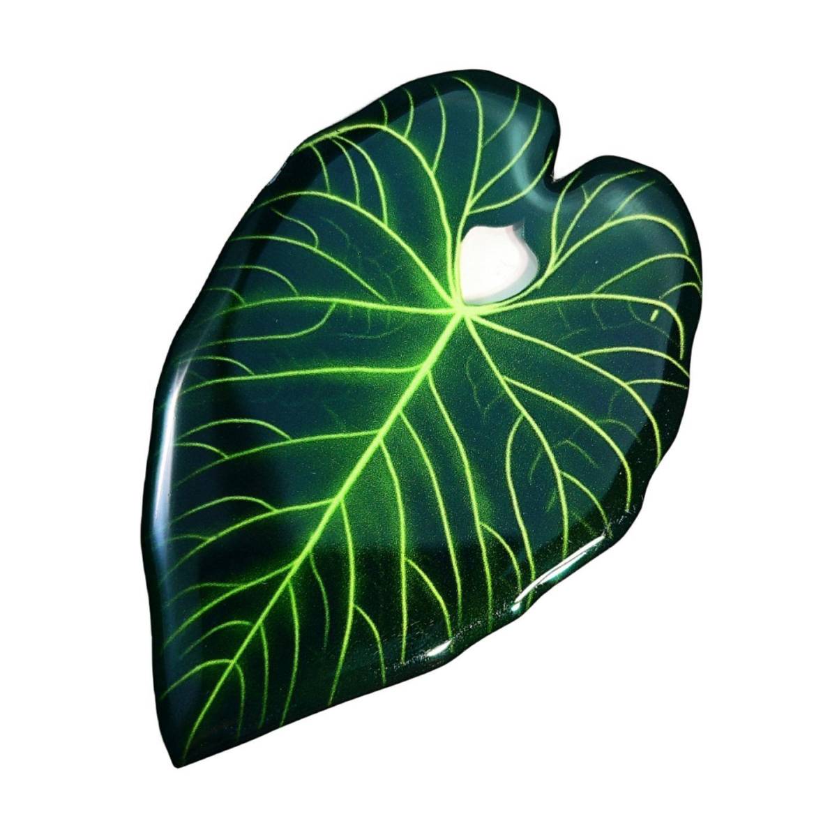 アンスリウム・レガレ アクリル 冷蔵庫マグネット 熱帯植物 観葉植物 希少 インテリア プレゼント 海外 おすすめ 人気 デザイン拍卖