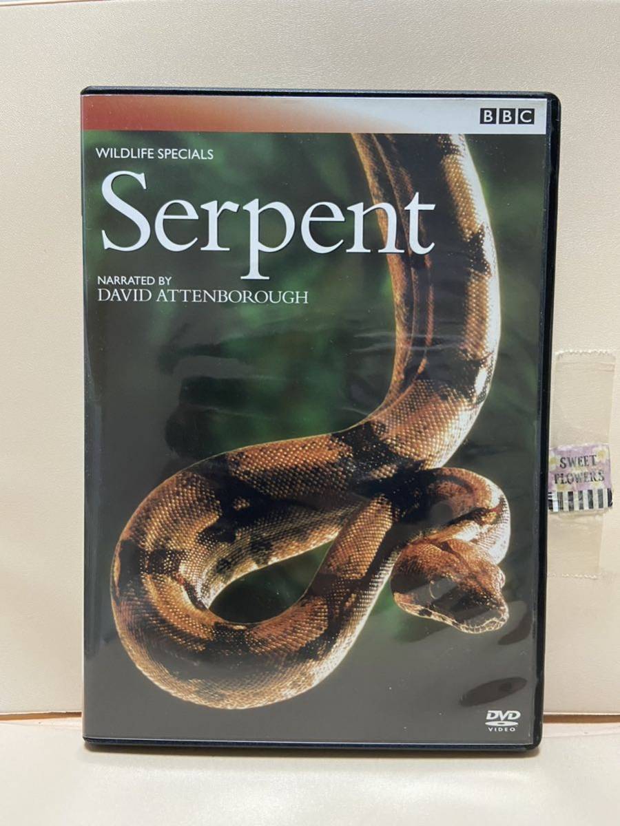 【Serpent】洋画DVD《映画DVD》(DVDソフト)送料全国一律180円《激安!!》拍卖