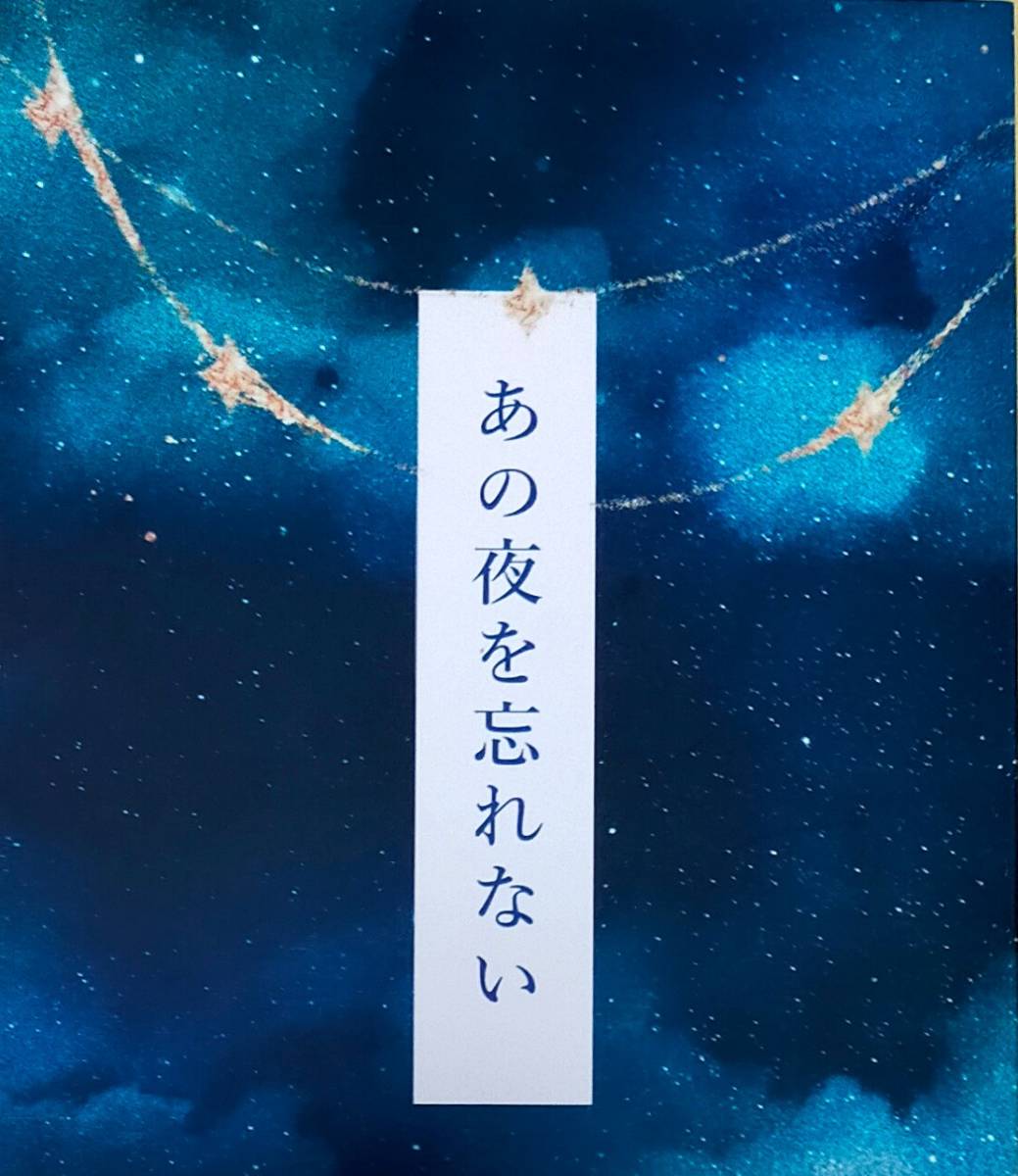 進撃の巨人【あの夜を忘れない】縫い目は赤い糸 リヴァイ×ハンジ リヴァハン拍卖