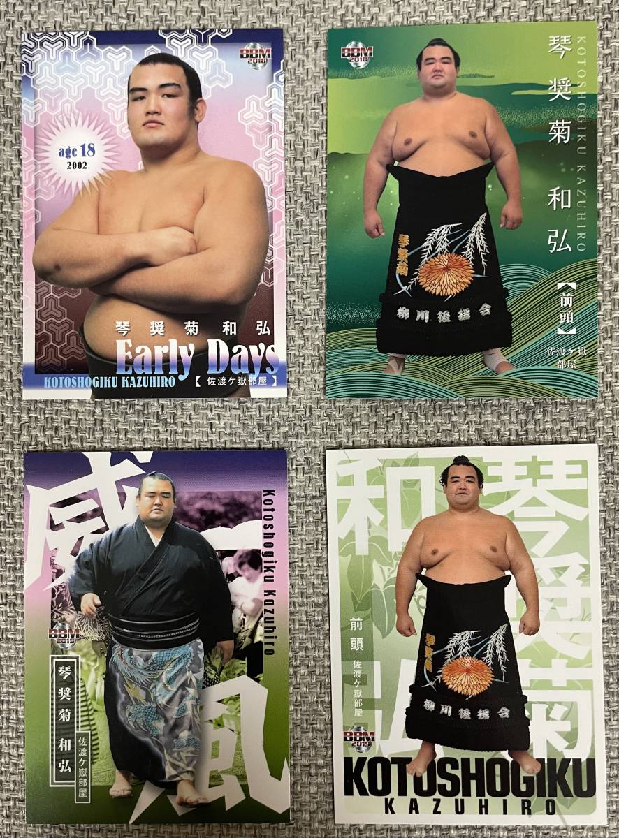 BBM 大相撲 琴奨菊 和弘レギュラーカード4枚拍卖