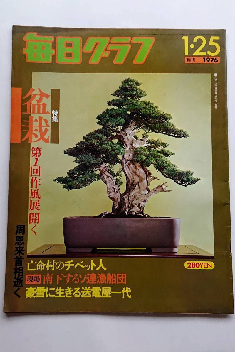 毎日グラフ 1976年1/25号 「盆栽 第1回作風展開く」拍卖