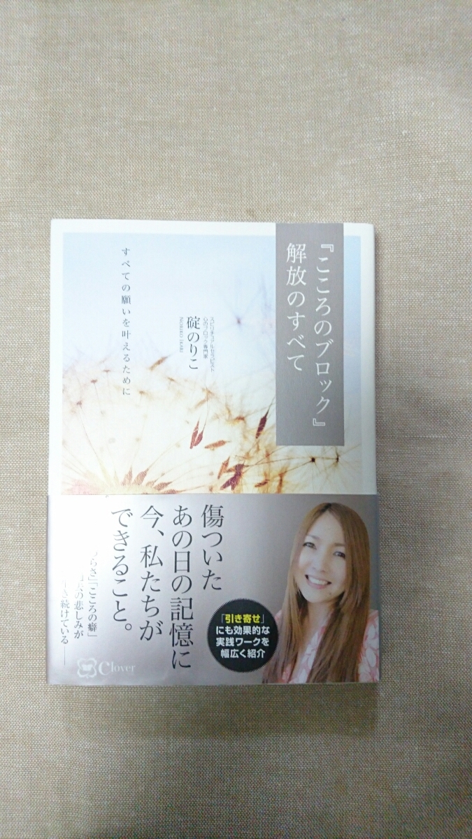 『こころのブロック』解放のすべて☆碇のりこ★送料無料拍卖