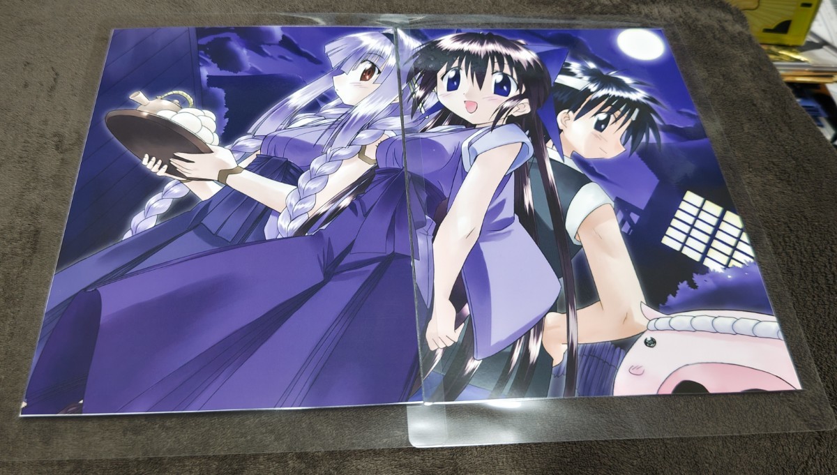 ♪『ながされて藍蘭島』♪特大両面イラスト♪2枚♪A4サイズのフィルム使用♪ラミネート加工済(説明欄必読)♪藤代健♪即決♪拍卖