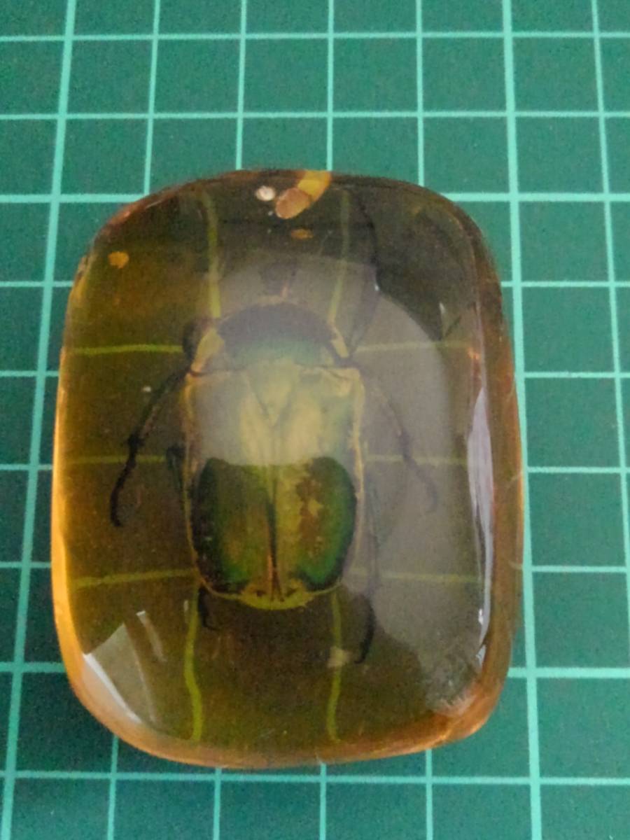 レジン標本 カナブン? 甲虫 検) キーホルダー 琥珀 ペンダント 樹脂標本 アクセサリー 拍卖