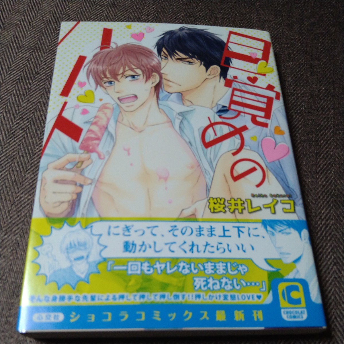 イラスト入り直筆サイン本 「目覚めのハート」桜井レイコ拍卖