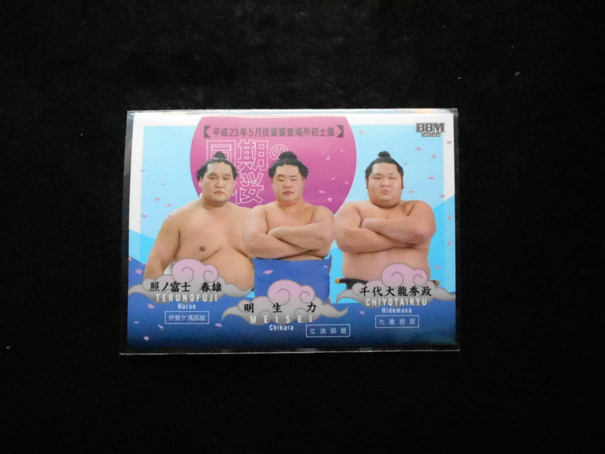 BBM2022大相撲カード華サブセットカード照ノ富士・明生・千代大龍拍卖