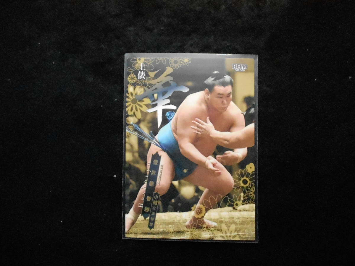 BBM2022大相撲カード華豊昇龍拍卖