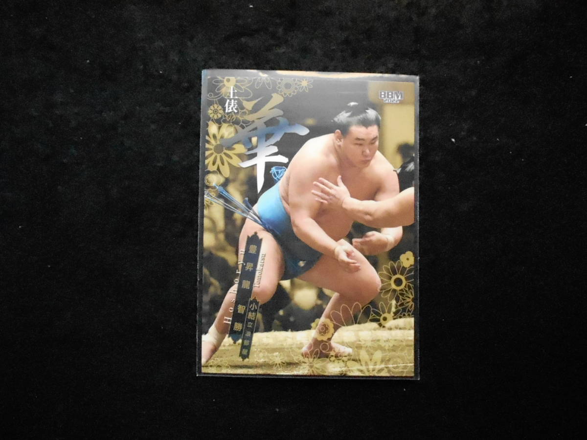 BBM2022大相撲カード華豊昇龍拍卖