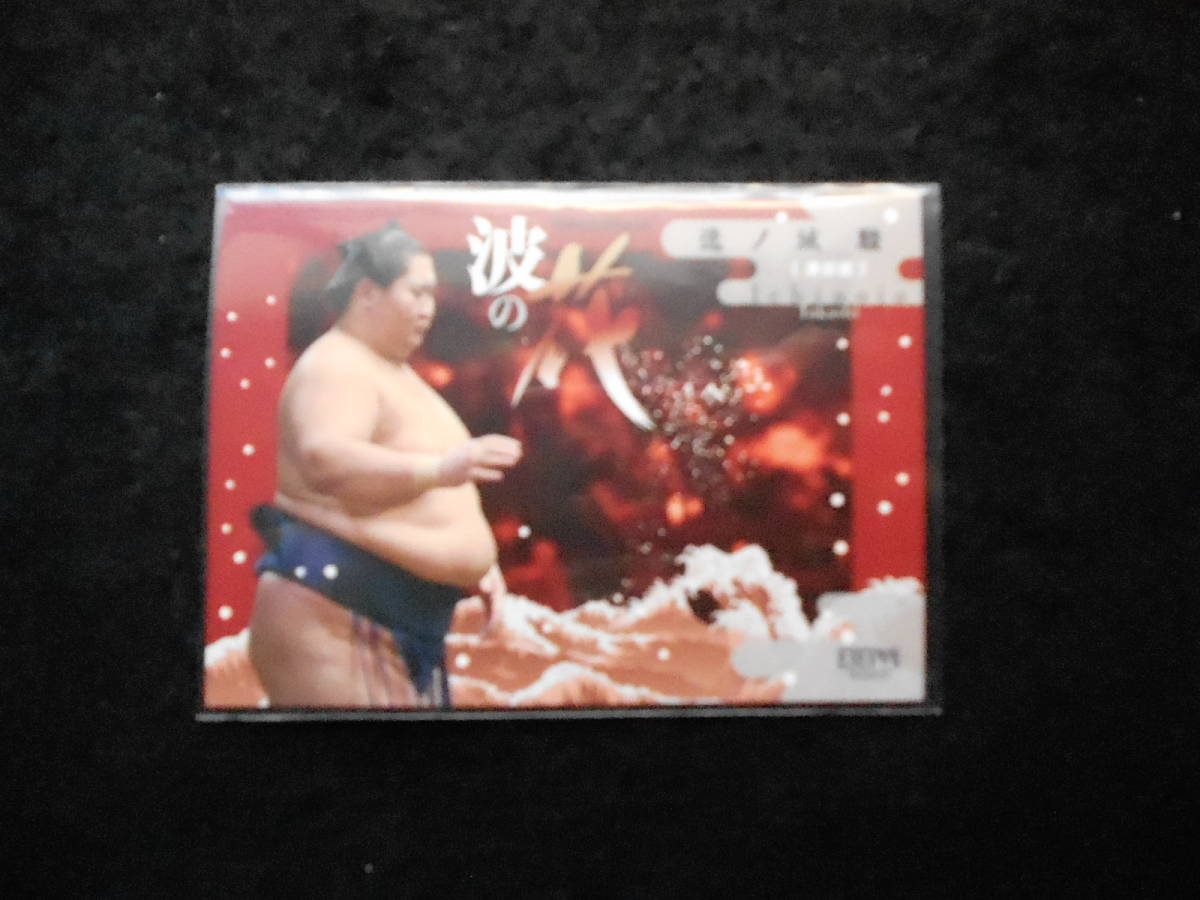 BBM2022大相撲カード華逸ノ城拍卖