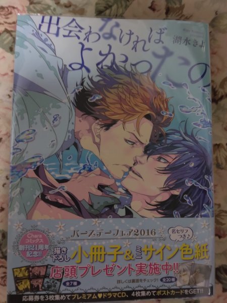 即決★BLC湖水きよ「出会わなければよかったの」キャラコミックス拍卖