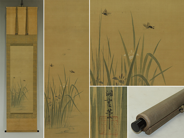 【真作】狩野洞雲【杜若蝶図】◆絹本◆合箱◆掛軸 t04061拍卖