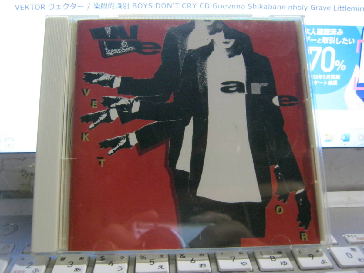 VEKTOR ヴェクター / WE ARE VEKTOR CD Guevnna Shikabane nholy Grave Littlemirrors Grind Shaft HAT TRICKERS HELBENT拍卖