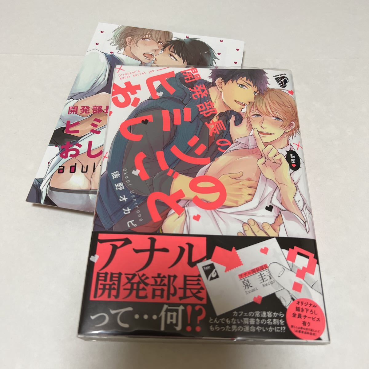 BL★18 イラストサイン本 開発部長のヒミツのおしごと…後野オカピ(リーフレット)拍卖