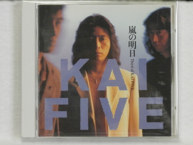 <美品> KAI FIVE / 嵐の明日 国内正規セル版 (甲斐よしひろ)拍卖