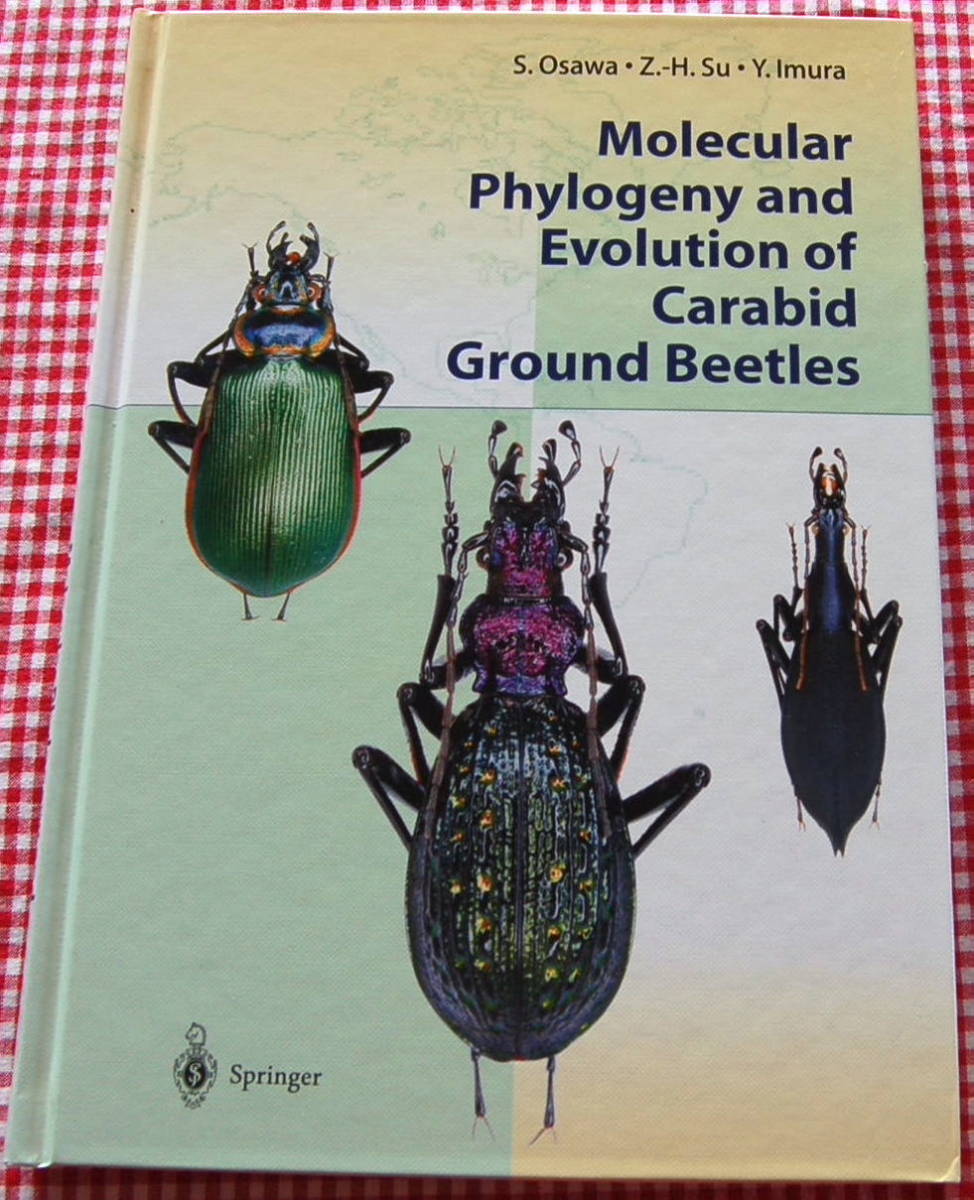 【送料無料】大澤省三 オサムシの系統と進化【Molecular Phylogeny and Evolution of Carabid Ground Beetles】中古美品拍卖