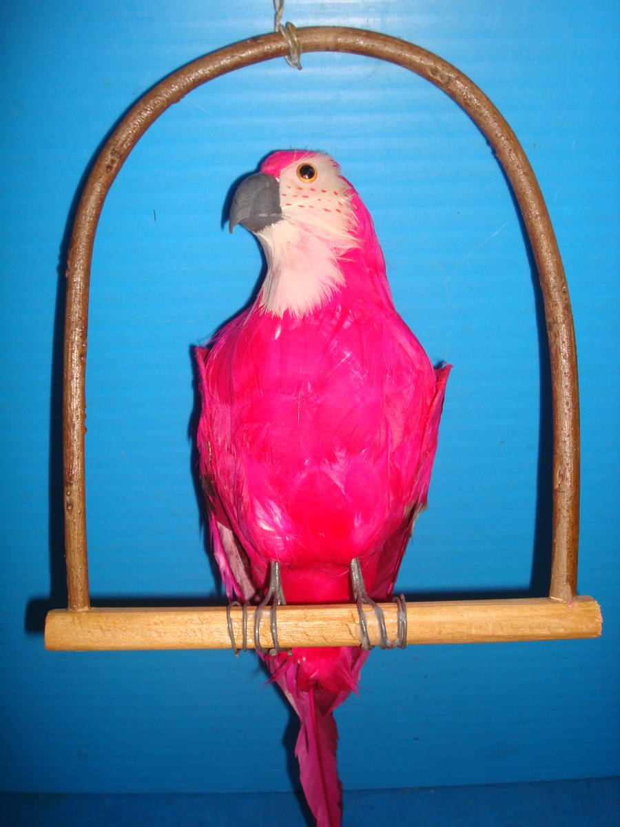 ハンドメイド作品。「①吊下げインコと②止まり木用の小鳥8羽」 TB8拍卖