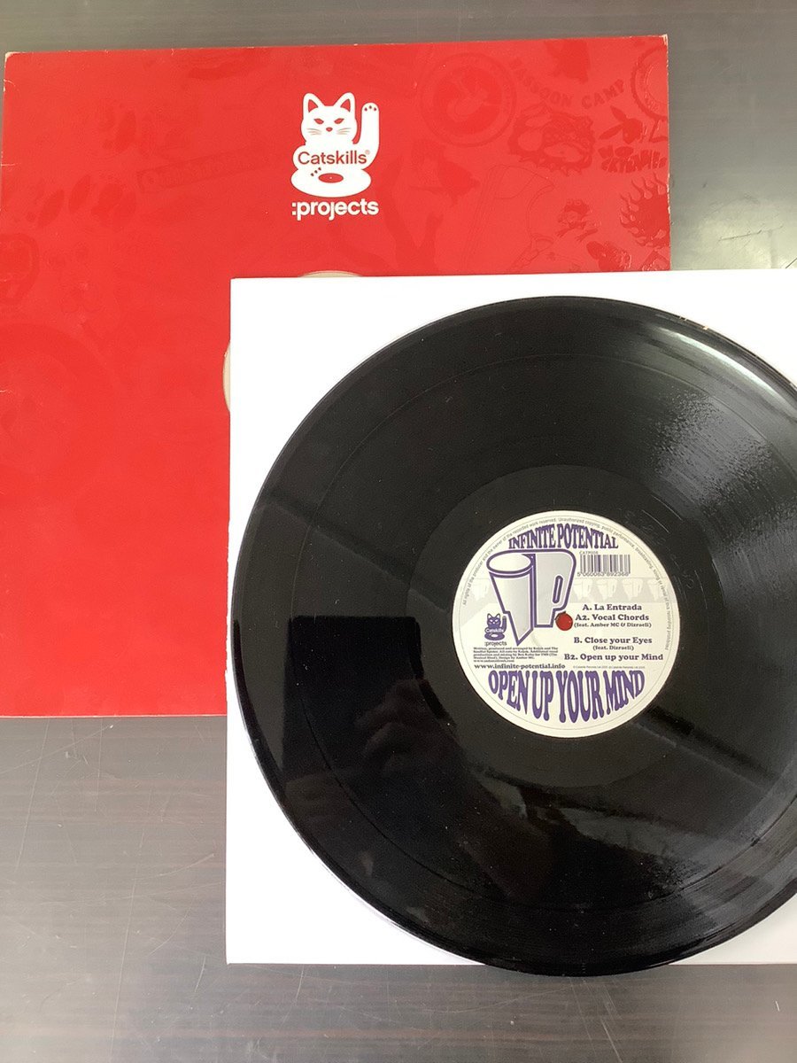 ◆日 F 824 238 Catskills Projects INFINITE POTENTIAL OPEN UP YOUR MIND CATP008 -定形外拍卖