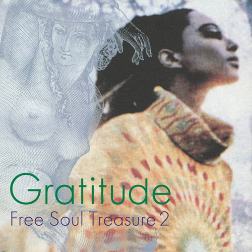 新品 LP Soulの名曲ズラリ収録 商品ページにて紹介 V.A / GRATITUDE ~ SUBURBIA meets ULTRA-VYBE FREE SOUL TREASURE 2 検)拍卖
