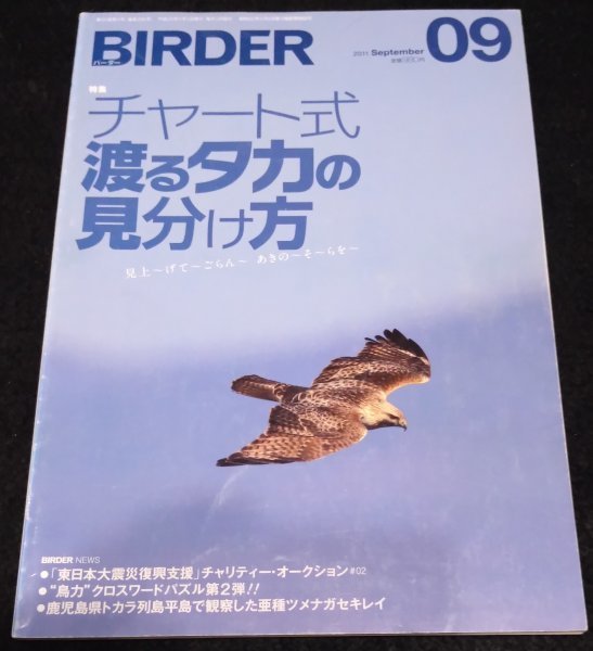 BIRDER (バーダー) 2011年 09月号 /チャート式 渡るタカの見分け方★シルエット 鷹の渡り ハヤブサ サシバ ハチクマ ノスリ カラス 絶版拍卖