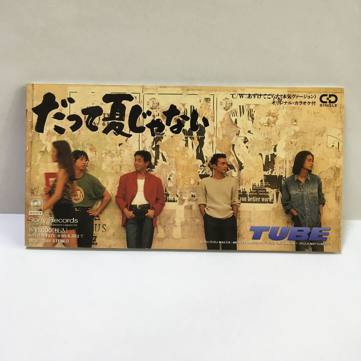 TUBE だって夏じゃない あずけてごらん(本気バージョン) 8cm CD拍卖