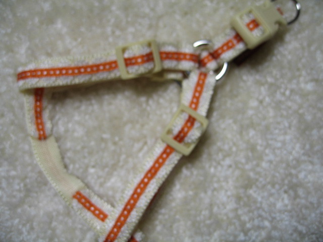 ★同梱お得★小型犬胴輪-№20・ステッチレース・オレンジ♪拍卖