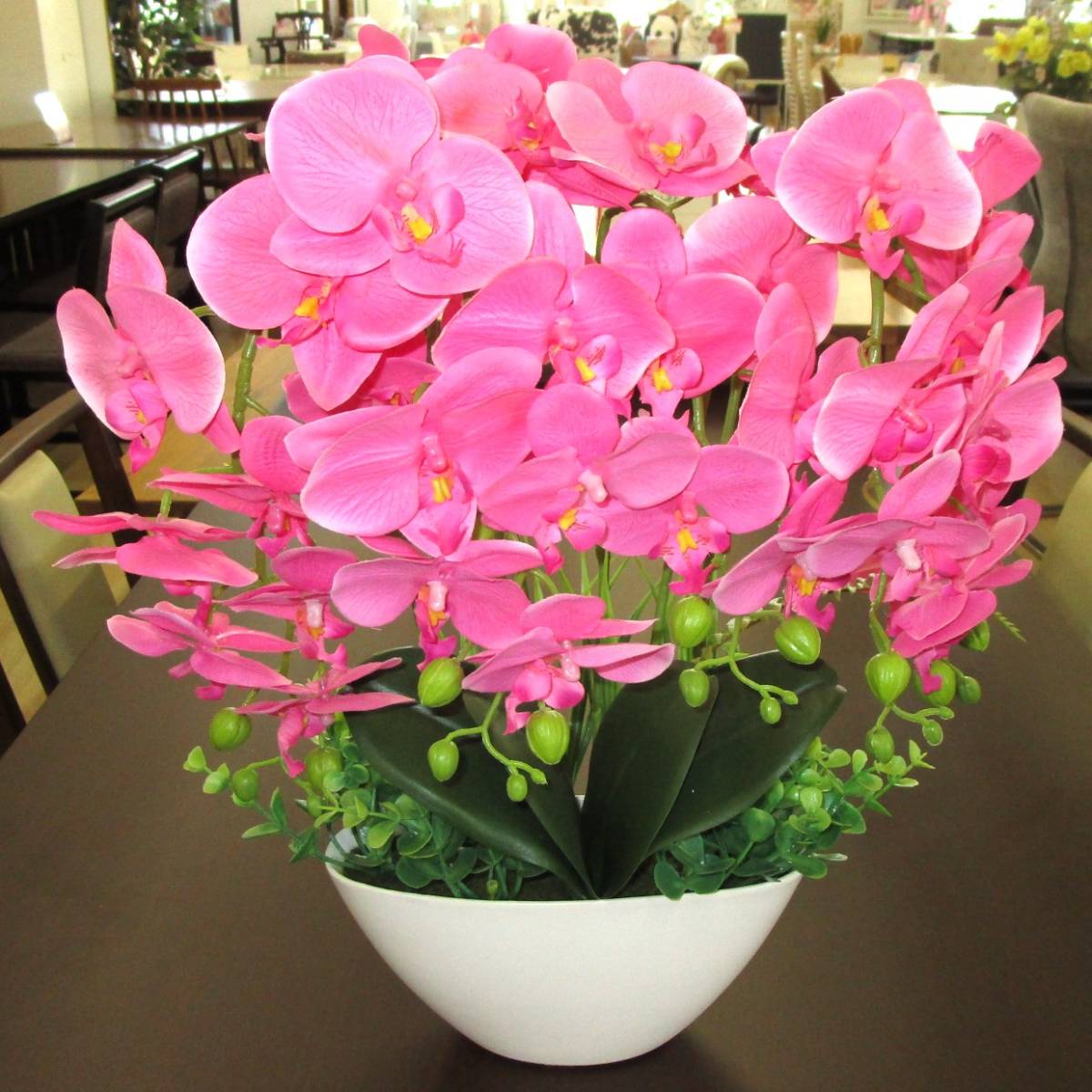 アレンジフラワー 胡蝶蘭 ピンク 鉢付き J3-014拍卖