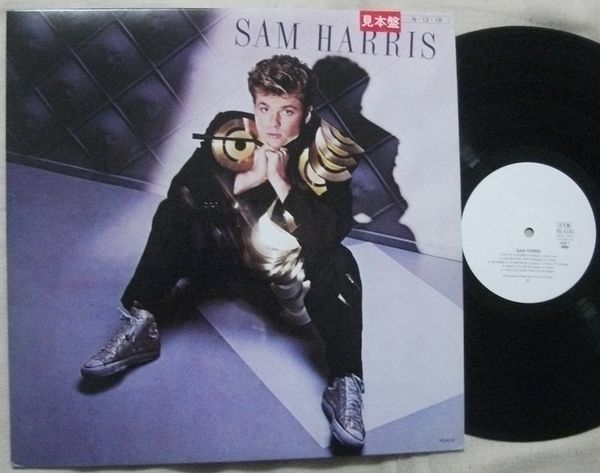 ■LP サム・ハリス プロモ Promo スター誕生 試聴 Sam Harris 白レーベル White Label VIL-6141 You Keep Me Hangin' On Over The Rainbow拍卖