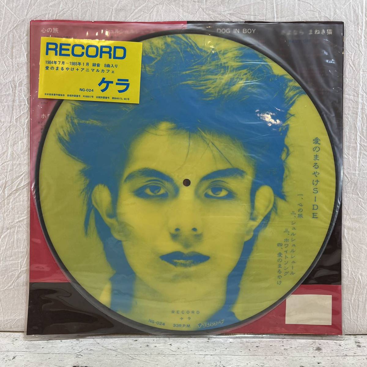 LP ピクチャー盤 ケラ Record NG-024拍卖
