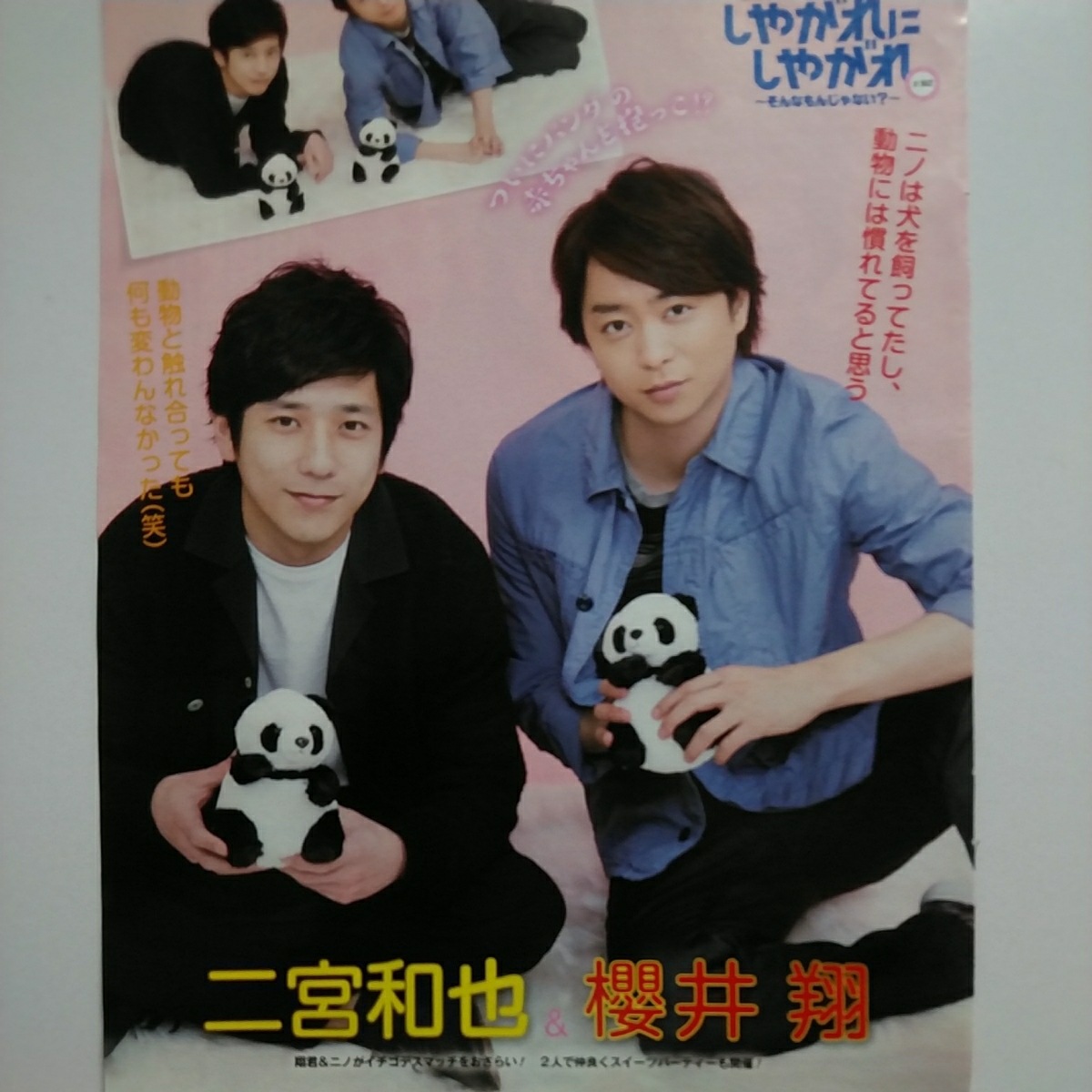 ◇TVLIVE 2017.3.31号 嵐のしやがれにしやがれ#162 二宮和也 櫻井翔 切り抜き拍卖