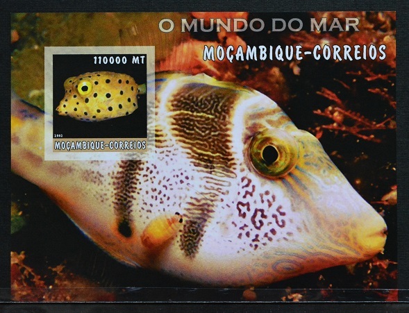 「D818」モザンビーク切手 2002年 魚拍卖