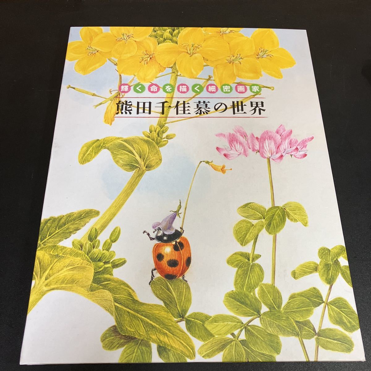 23-8-7『 熊田千佳慕の世界 輝く命を描く細密画家 』【朝日新聞額絵シリーズ】 全24葉 収納ファイル付拍卖