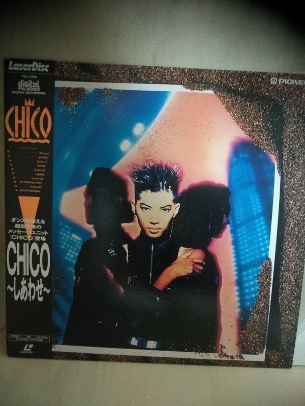 L9313 LD・レーザーディスク CHICO しあわせ拍卖