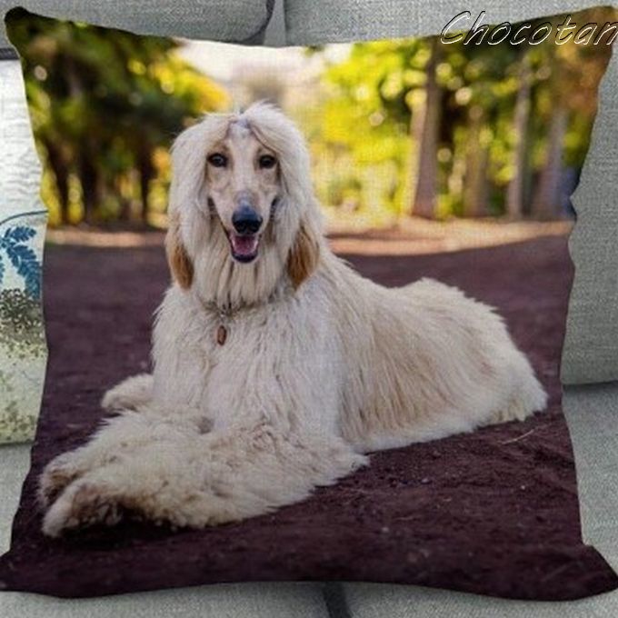 【送料無料】アフガンハウンド M クッションカバー【新品】拍卖