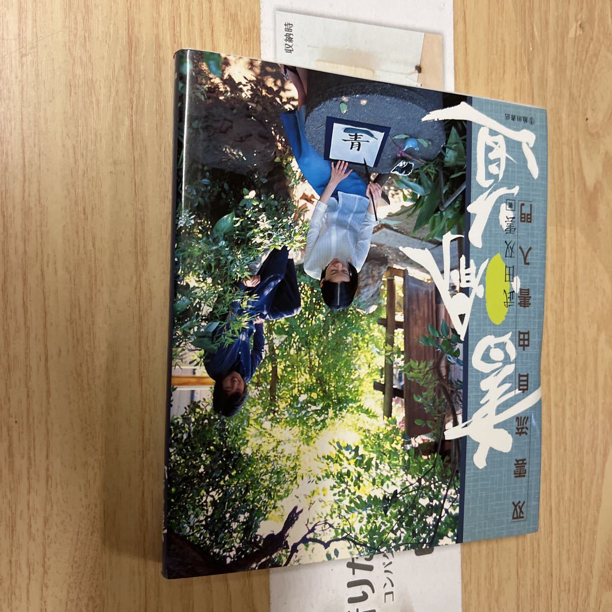 送料無料 武田双雲 書愉道 双雲流自由書入門拍卖