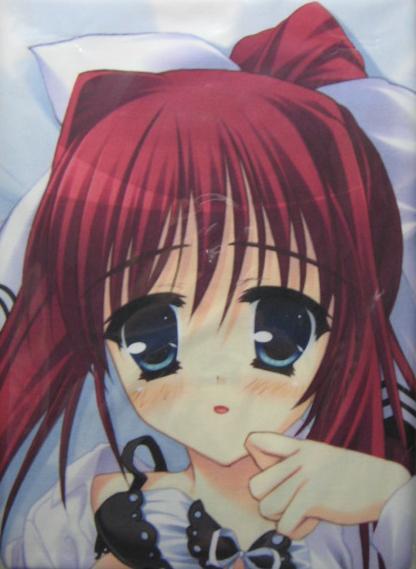 きゃん☆フェス!/ぱんぷきんソフト ソフマップ特典抱き枕カバー拍卖